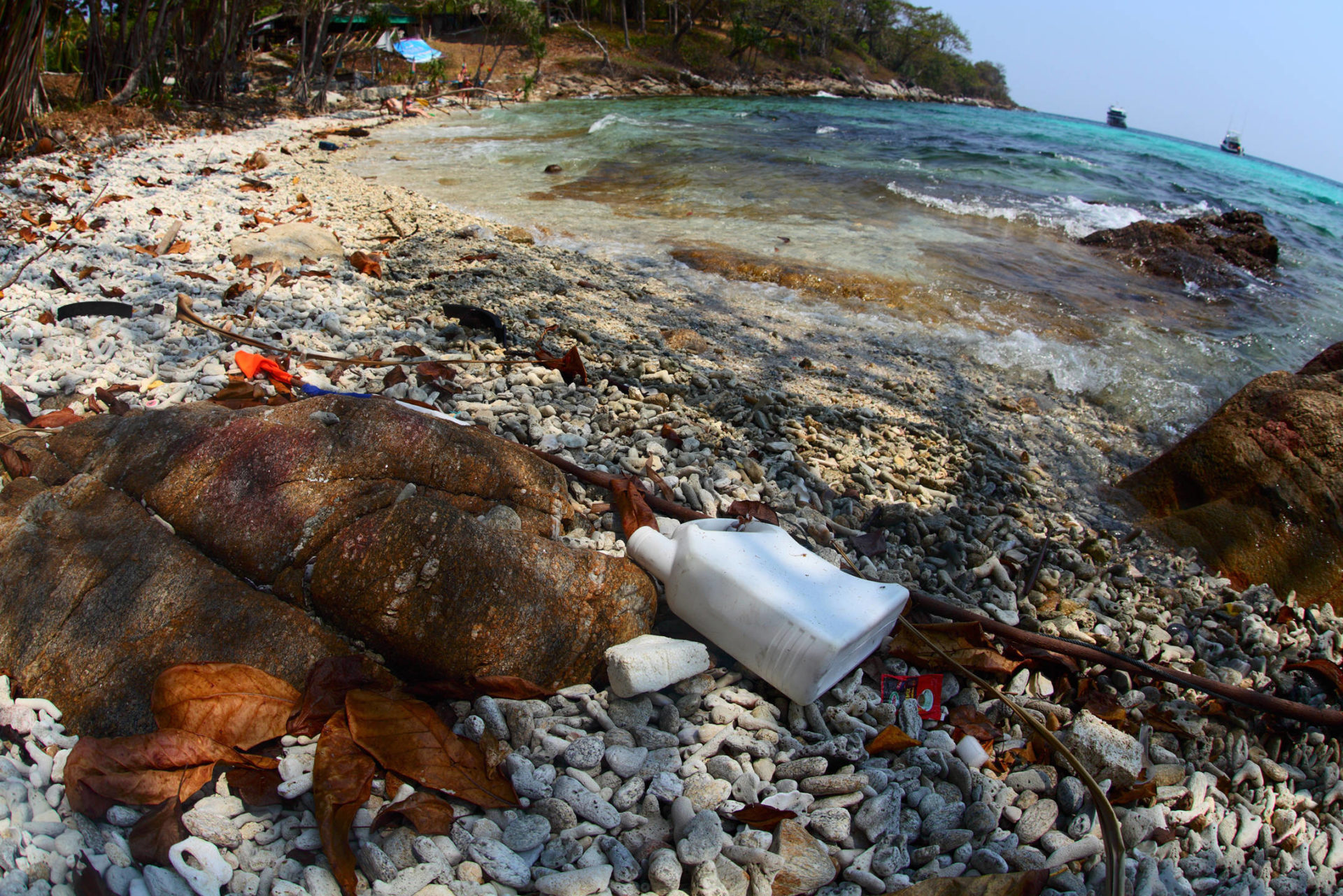 Microplastics in the environment