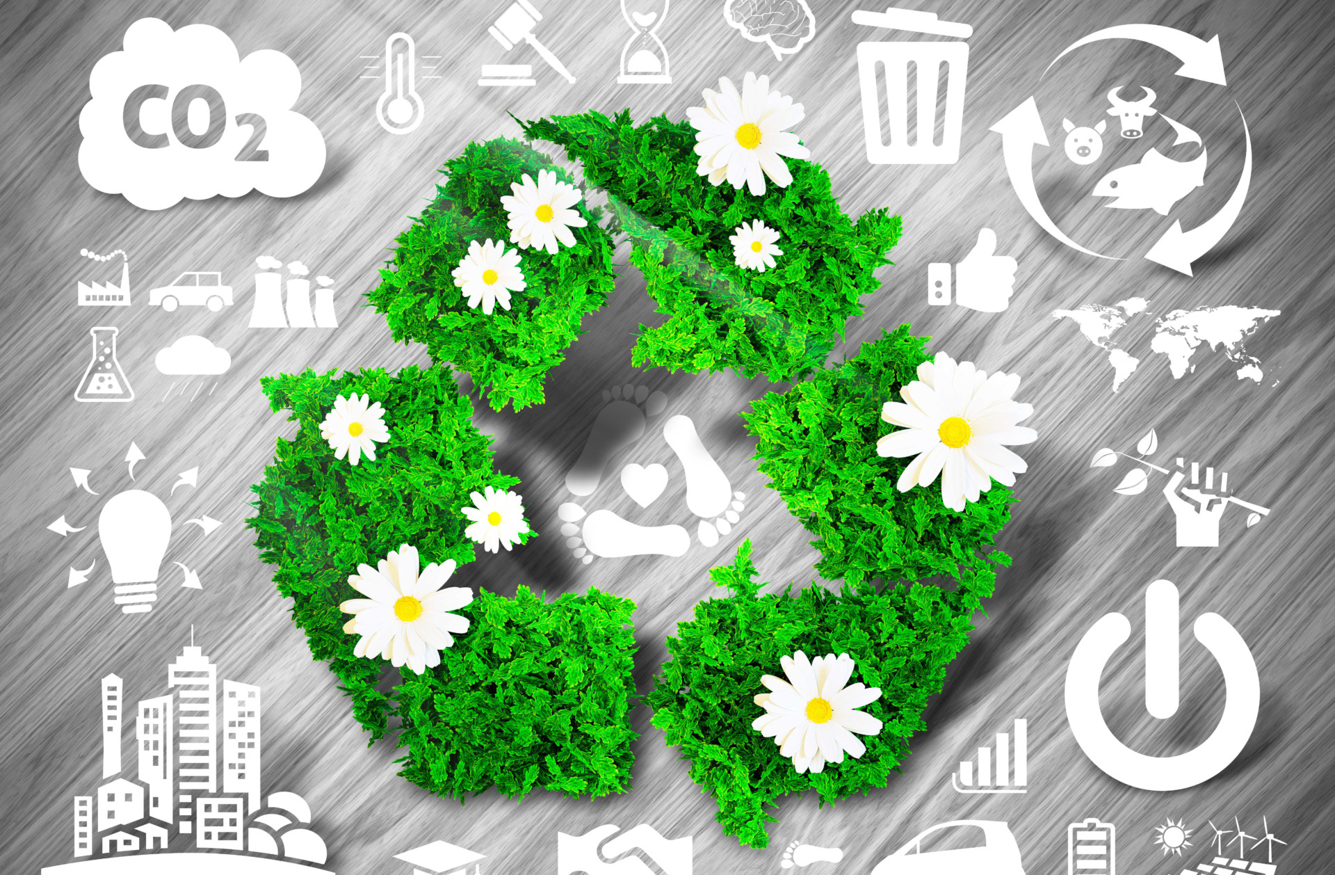 Bio-based / circular