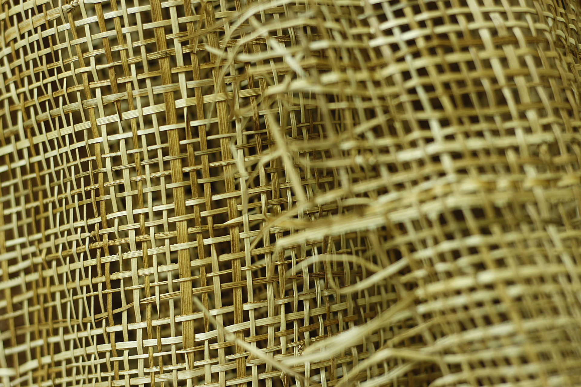 Natural Fibers