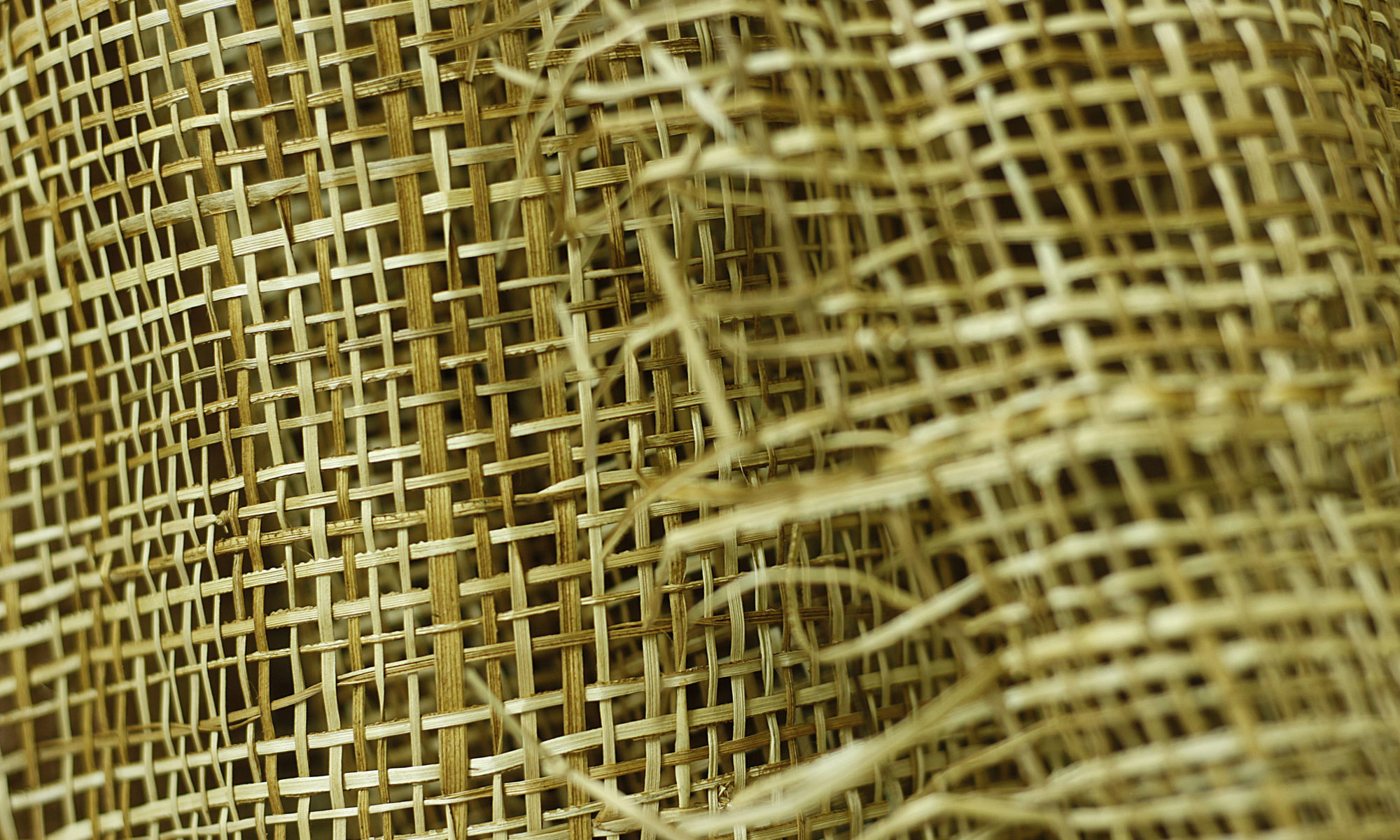 Natural Fibers Agro & Chemistry