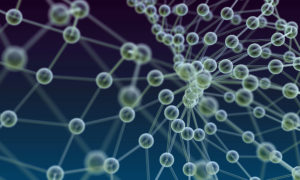 European Biopolymer Summit