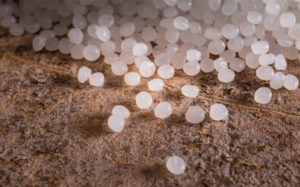 Succesful start-up of Total-Corbion PLA pilot plant in Thailand