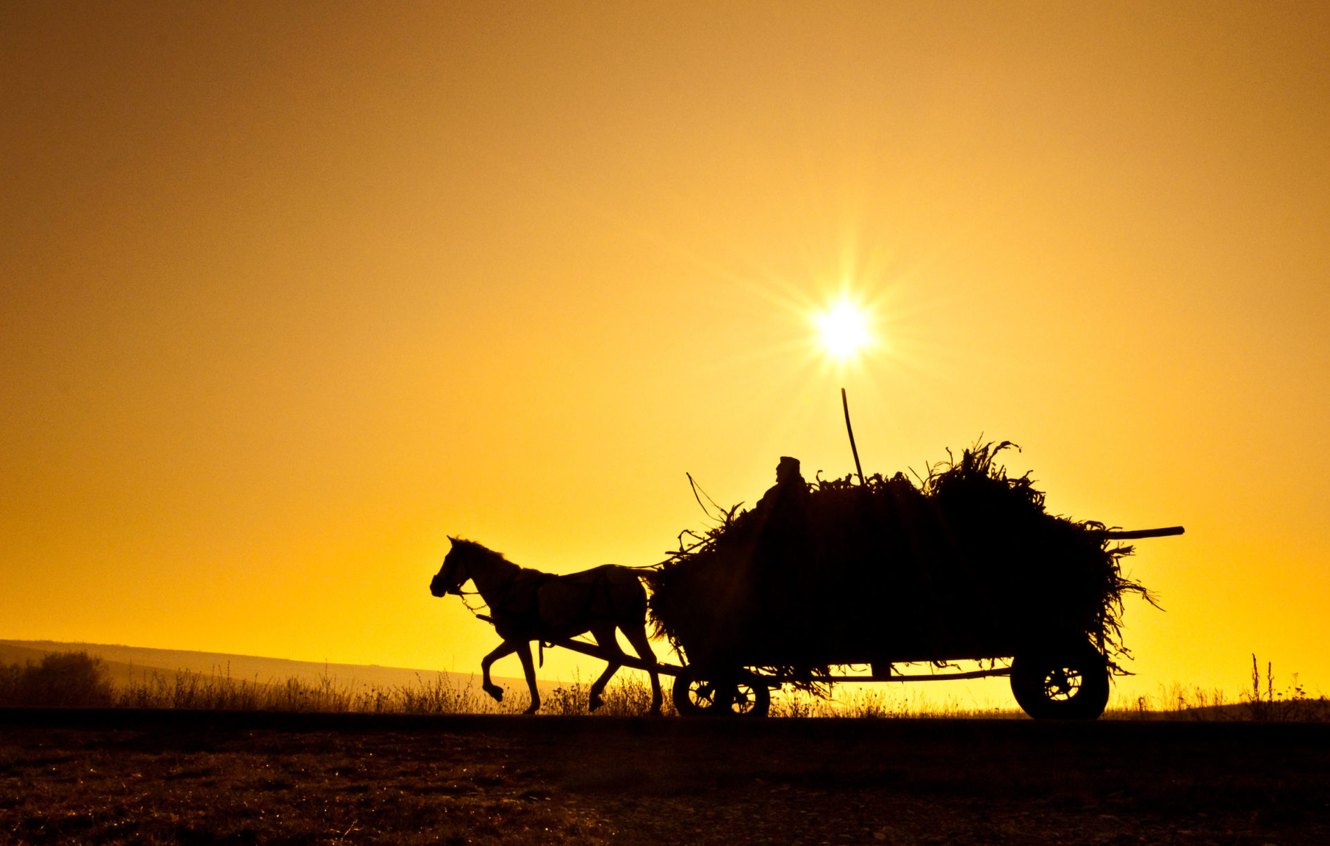 Incentive for the development of a biobased industry in Eastern and Central Europe