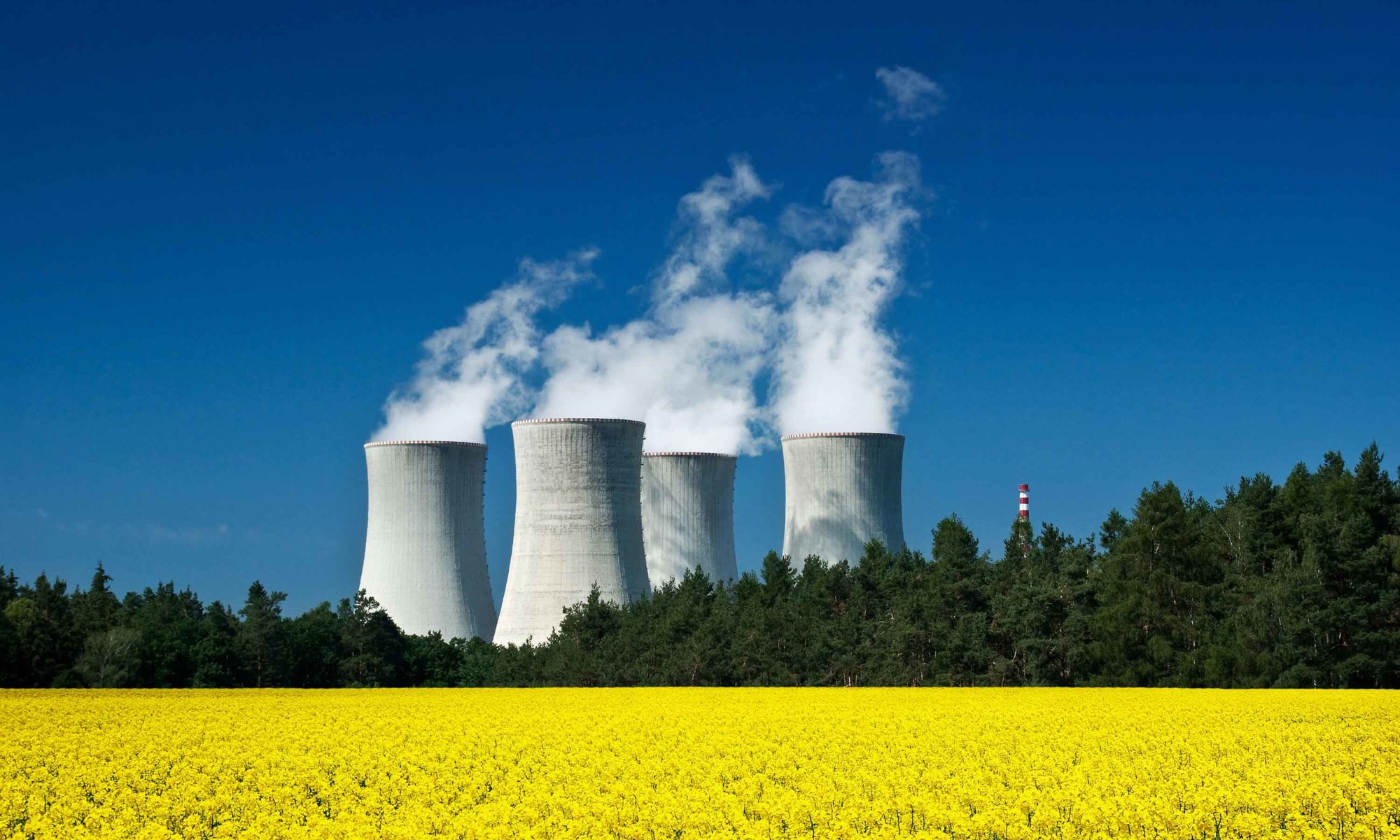 'Nuclear power helps achieve sustainable energy goals' Agro & Chemistry