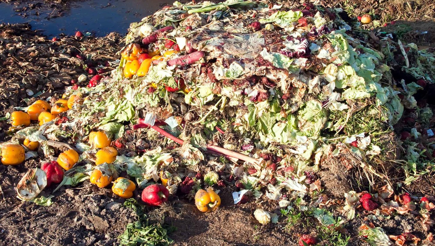 Biowaste Archives Agro Chemistry