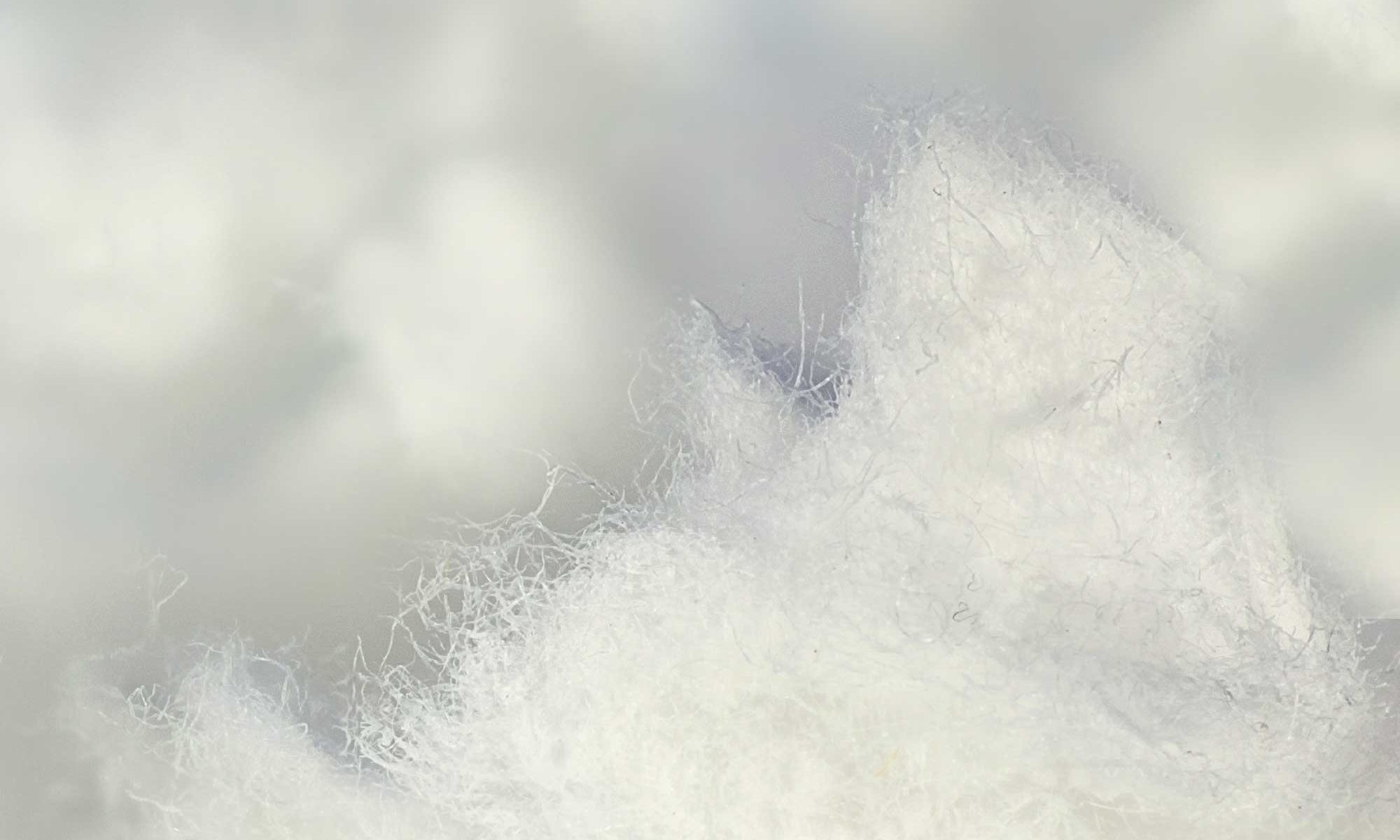 Nominees for Cellulose Fibre Innovation of the Year presented - Agro ...
