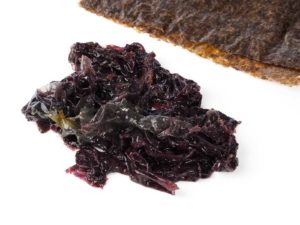 Porphyra Umbilicalis red seaweed