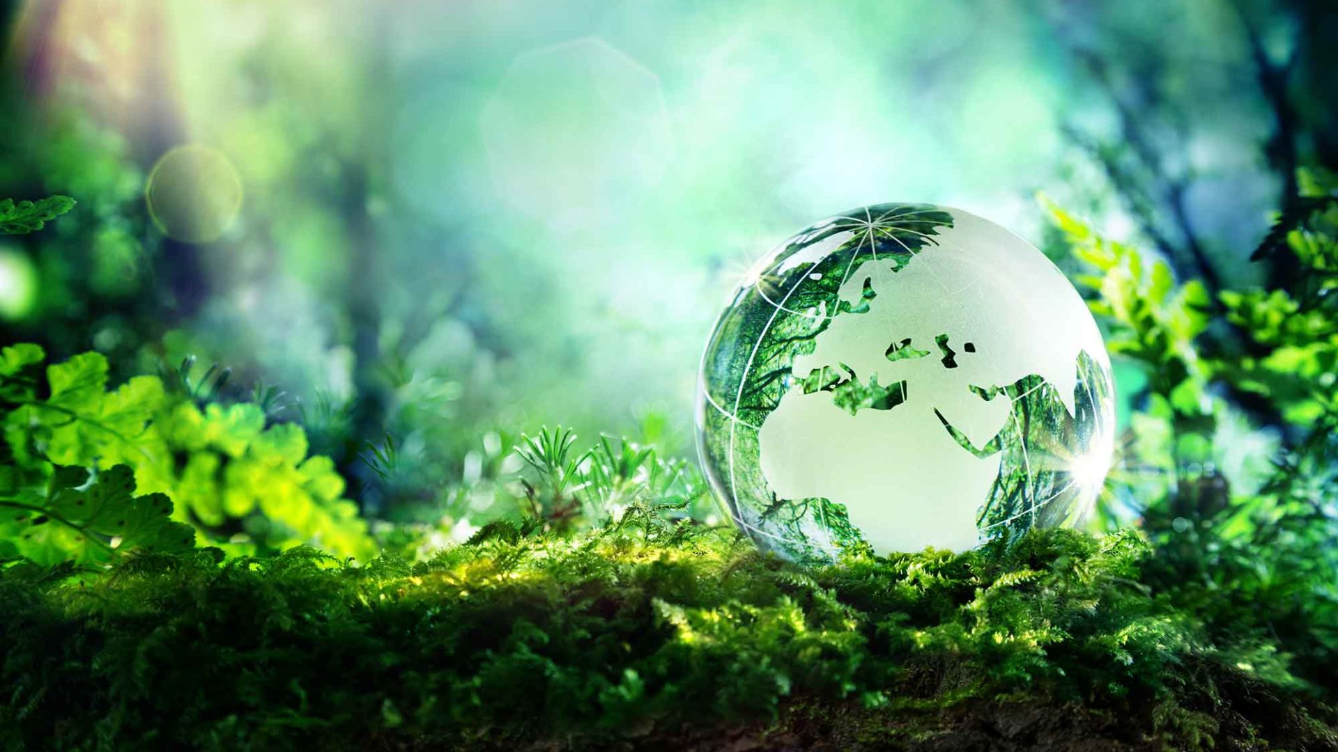 Globe in moss