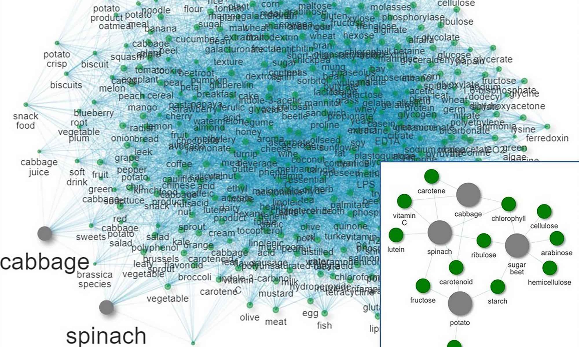 Ingredient Maps finds new ingredients for the food industry using AI