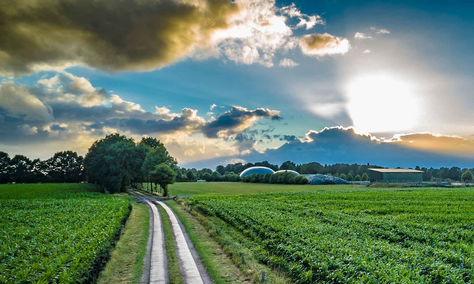 Up to 25% boost in efficiency of biogas installations - Agro & Chemistry