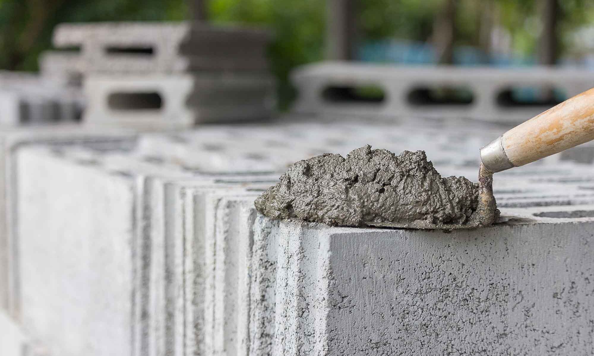 US researchers create carbonnegative cement from algae Agro & Chemistry