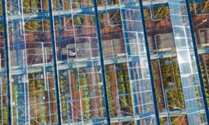 Greenhouse from above