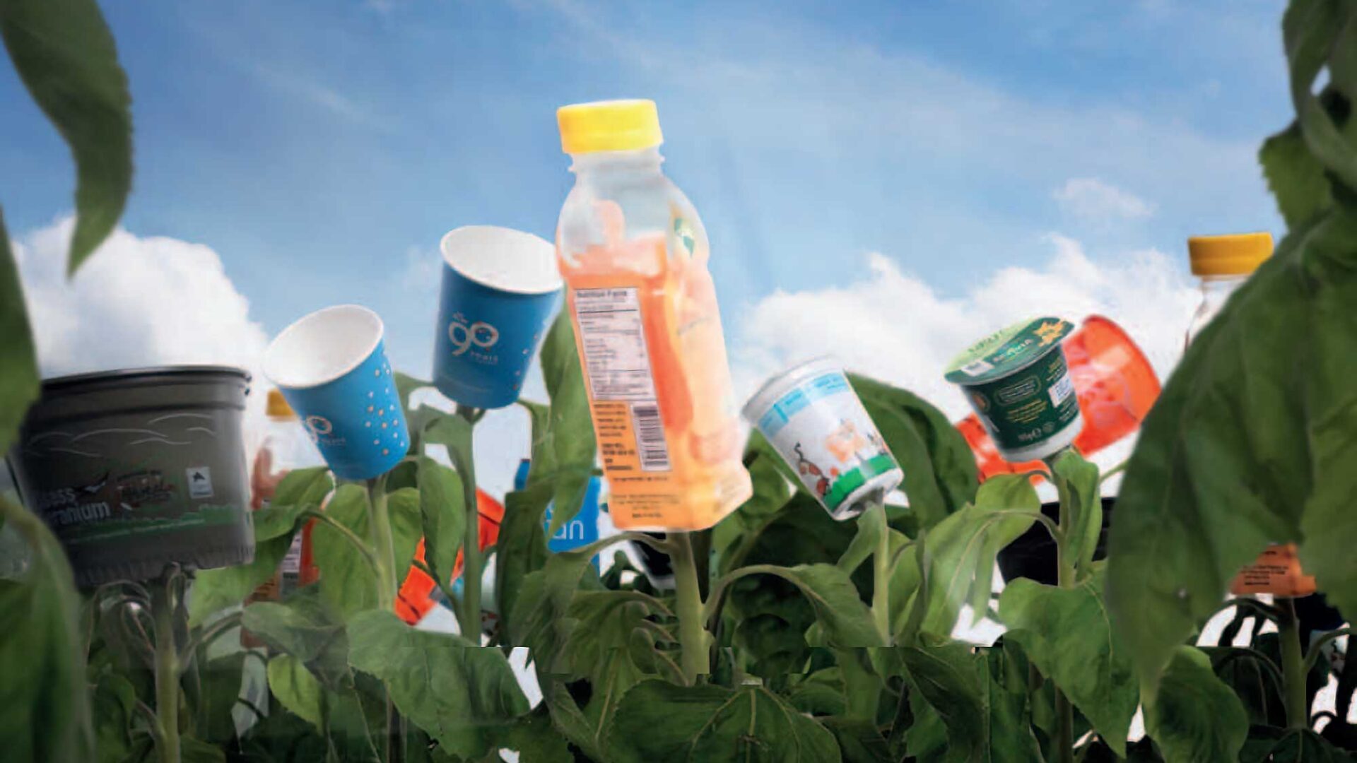 Biobased2012